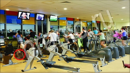 ответы на игру Где же кот Уровень 7556