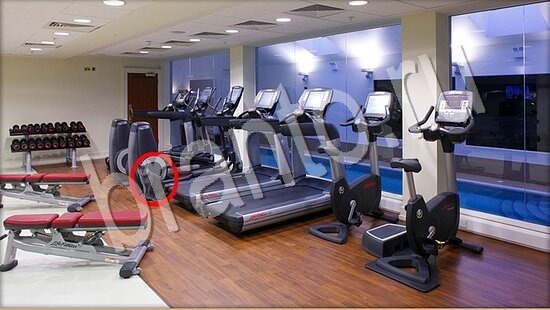 ответы в картинках на игру Где же кот Уровень 7557