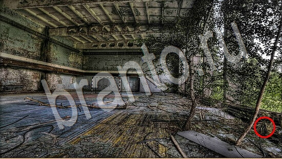 помощь на игру Где же кот Уровень 7558