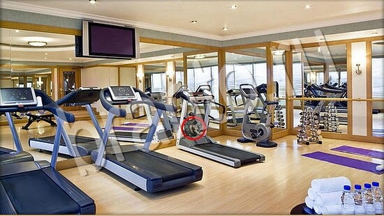 Где же кот ответы в одноклассниках Уровень 7559