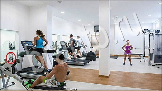 Где же кот игра ответы Уровень 7560