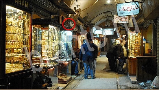 Решения на игру Где же кот Уровень 7563