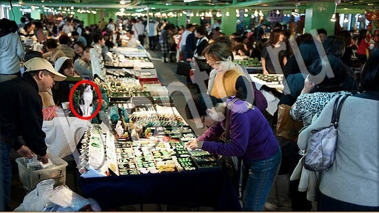 ответы на игру в одноклассниках Где же кот Уровень 7566