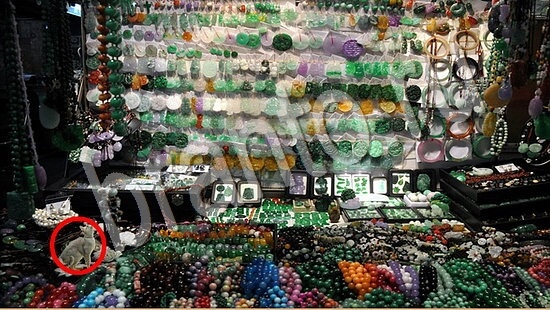 Где же кот? подсказки Уровень 7569