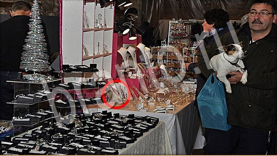 решебник на игру Где же кот Уровень 7571