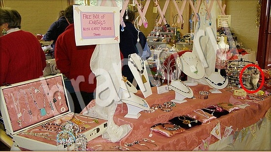 Где же кот? решения Уровень 7572