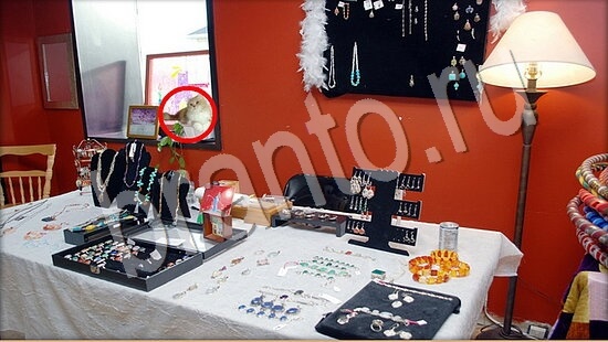 Где же кот игра подсказки Уровень 7574