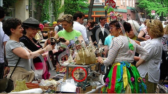 Где же кот игра помощь Уровень 7575