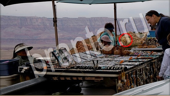 Игра Где же кот ответы Уровень 7577