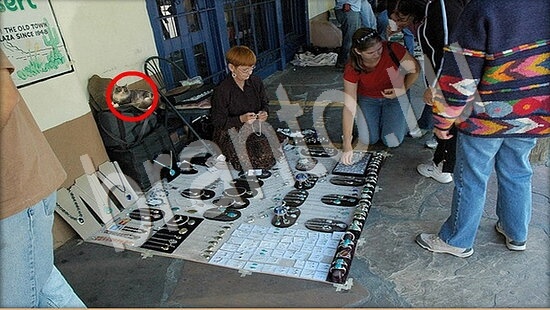 игра Где же кот помощь Уровень 7579