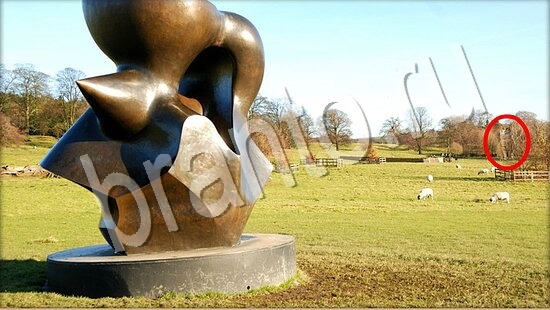 Где же кот прохождение игры Уровень 7582