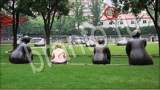 відповіді на игру Где же кот в одноклассниках Уровень 7583