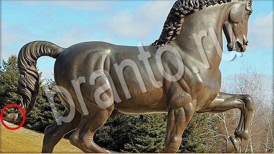 ответы Где же кот? в одноклассниках Уровень 7586