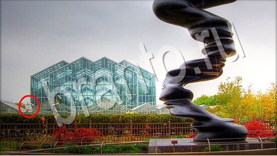 ответы для игры Где же кот Уровень 7587