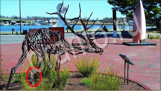 Где же кот игра ответы Уровень 7589