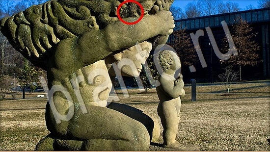 Где же кот ответы на новые задания Уровень 7593