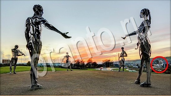 ответы на игру Где же кот Уровень 7594