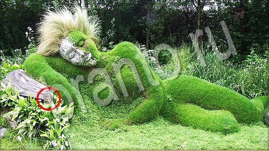 решения на игру Где же кот Уровень 7595