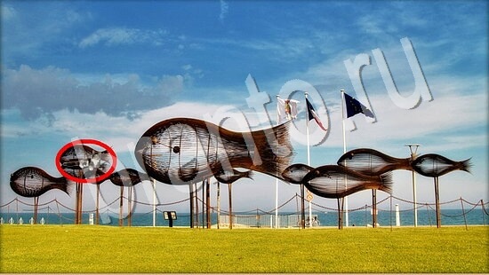 помощь на игру Где же кот Уровень 7598