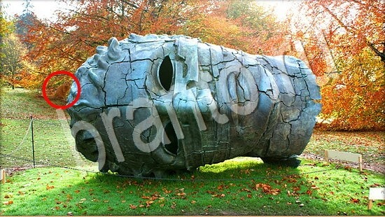 Где же кот ответы в одноклассниках Уровень 7599