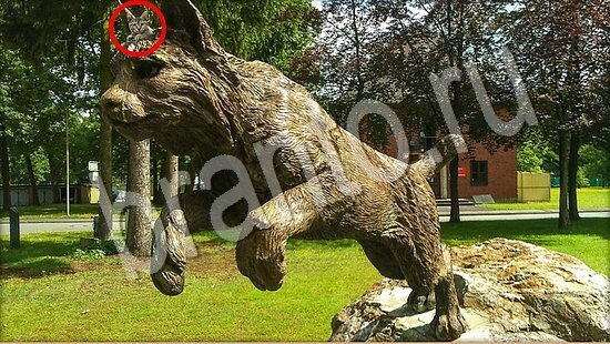 Где же кот игра ответы Уровень 7600