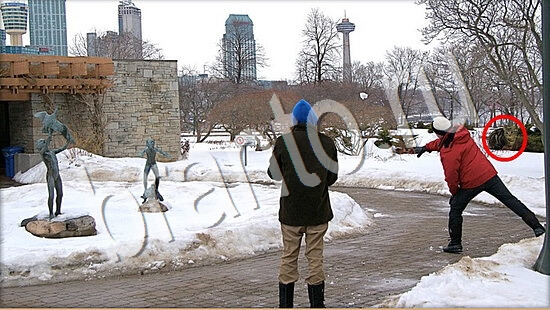 Подсказки на игру Где же кот Уровень 7602