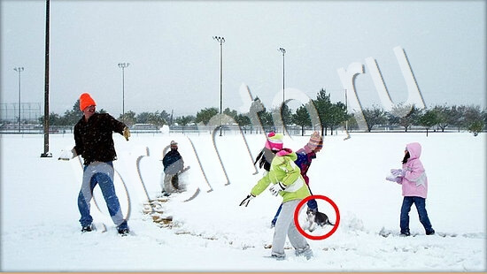 Помощь на игру Где же кот Уровень 7604