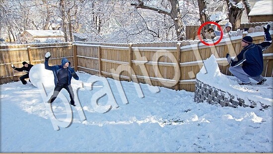 ответы к игре Где же кот Уровень 7605