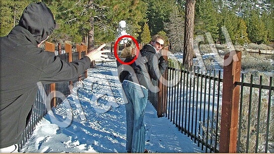 ответы на игру в одноклассниках Где же кот Уровень 7606