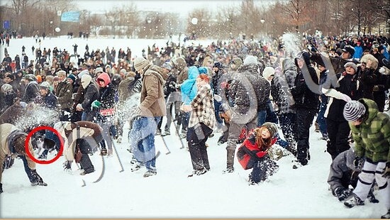 Где же кот игра ответы в одноклассниках Уровень 7607