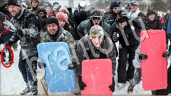 Где же кот? подсказки Уровень 7609