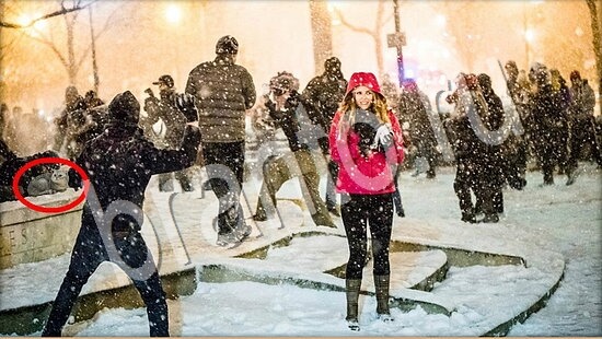 Где же кот? помощь Уровень 7610