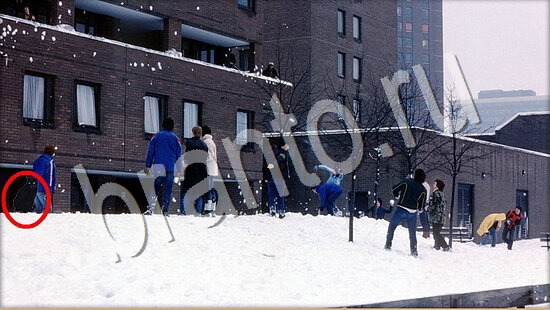 решебник на игру Где же кот Уровень 7611