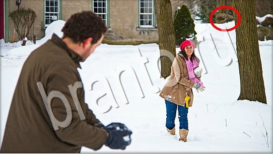 Где же кот? решения Уровень 7612