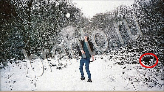 Где же кот игра ответы Уровень 7613