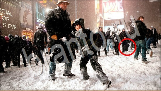 Где же кот игра помощь Уровень 7615