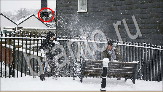 Где же кот ответы в картинках Уровень 7616