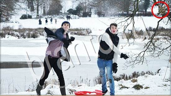 игра Где же кот помощь Уровень 7619