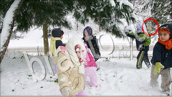 Игра Где же кот прохождение Уровень 7620