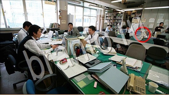 прохождение на игру Где же кот Уровень 7621