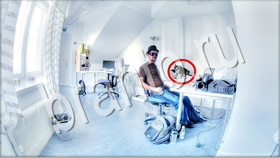 Где же кот прохождение игры Уровень 7622