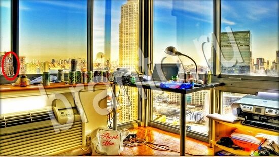 відповіді на игру Где же кот в одноклассниках Уровень 7623