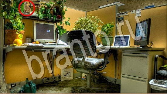 ответы для игры Где же кот Уровень 7627