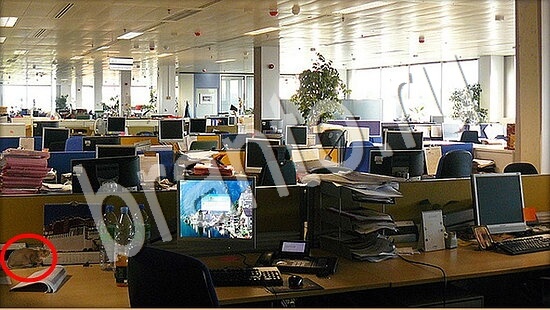 Где же кот ответы на новые задания Уровень 7633