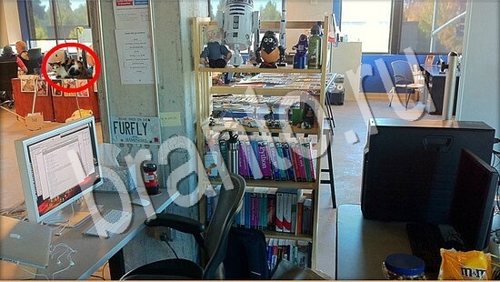 Где же кот игра ответы Уровень 7640