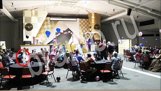 Подсказки на игру Где же кот Уровень 7642