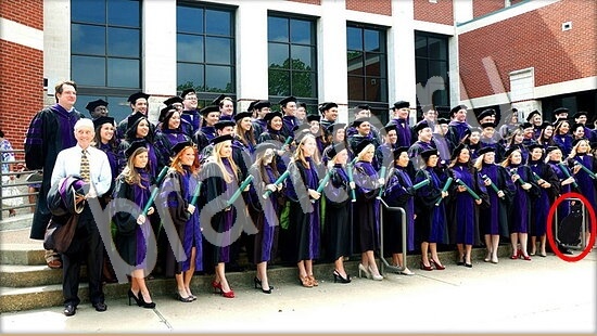 ответы к игре Где же кот Уровень 7645