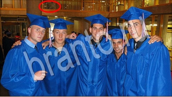 Где же кот? ответы Уровень 7648