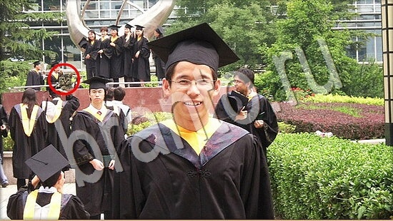 Где же кот? подсказки Уровень 7649