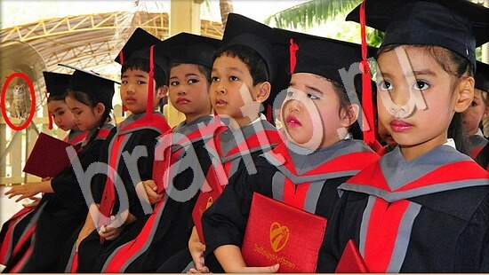 Где же кот? помощь Уровень 7650